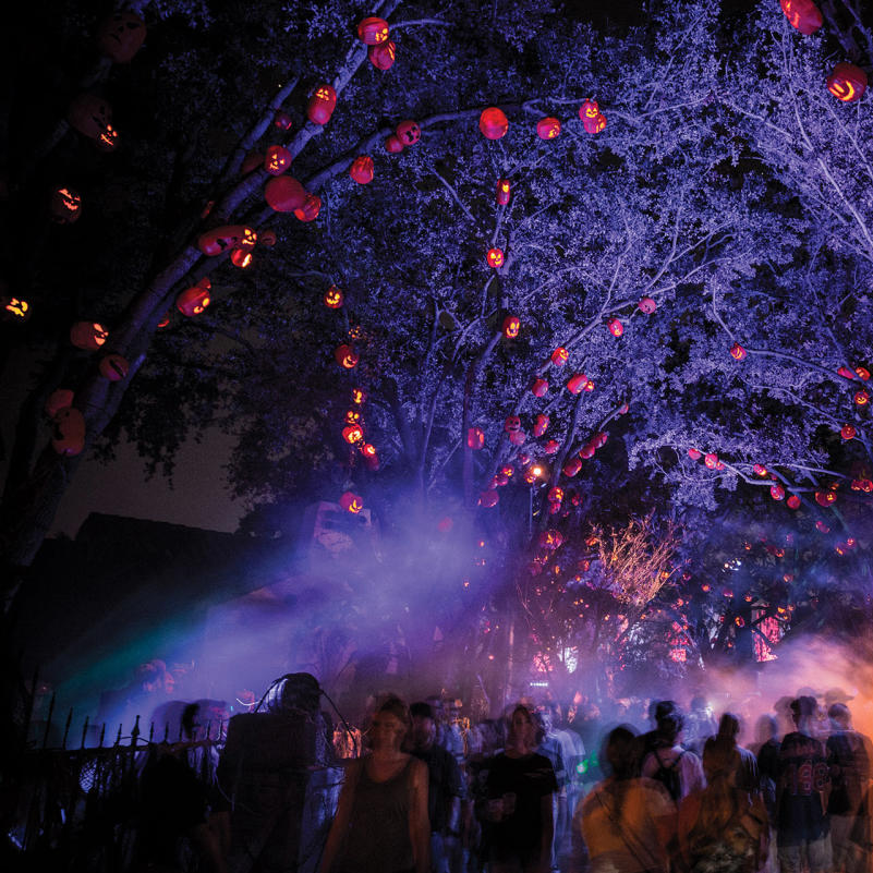 2025洛杉矶万圣节活动指南｜Halloween & Fall Festivals in LA